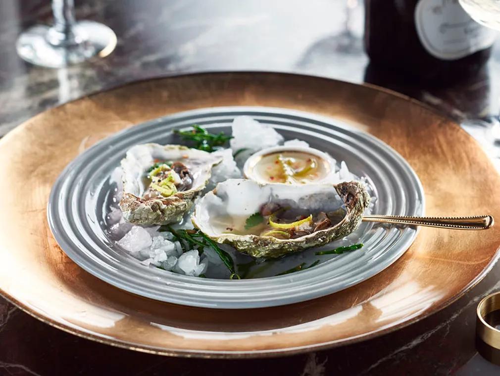 Huîtres marinées au chili, citron vert et gin